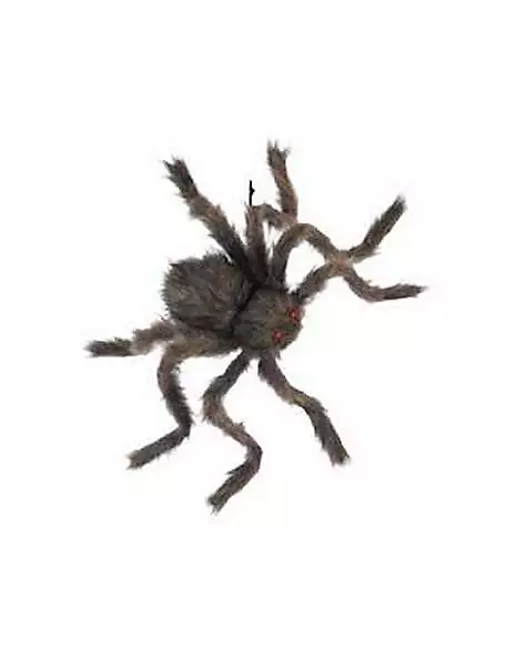 20 Inch Hairy Spider 3 20 Inch Hairy Spider