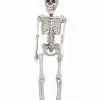 20 In Plastic Skeleton 1 20 In Plastic Skeleton -Spirit Halloween Shop 01145838 a