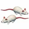 Squooshey Mouse 8-Pack 1 Squooshey Mouse 8-Pack -Spirit Halloween Shop 01251016 a