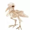 Skeleton Crow -Spirit Halloween Shop 01270800 a