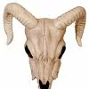 Ram Skull Decoration 2 Ram Skull Decoration -Spirit Halloween Shop 01312255 a