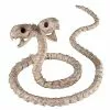 Two-Headed Snake Skeleton - Decorations 2 Two-Headed Snake Skeleton - Decorations -Spirit Halloween Shop 01344316 a