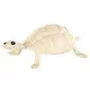 Skeleton Turtle - Decorations 2 Skeleton Turtle - Decorations -Spirit Halloween Shop 01387117 a