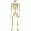 5 Ft Blacklight Skeleton 1 5 Ft Blacklight Skeleton -Spirit Halloween Shop 01476142 a