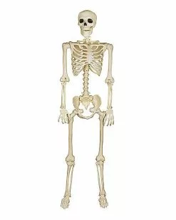 5 Ft Blacklight Skeleton