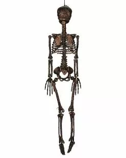 Moss Skeleton -Spirit Halloween Shop 01477140 c