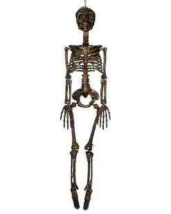 Moss Skeleton -Spirit Halloween Shop 01477140 d