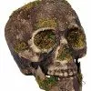Moss Skull -Spirit Halloween Shop 01477157 a