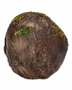 Moss Skull -Spirit Halloween Shop 01477157 c