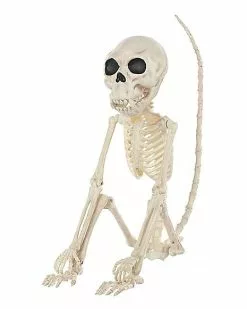 Monkey Skeleton