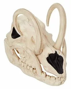 Boar Skull 10 Boar Skull -Spirit Halloween Shop 01528785 a