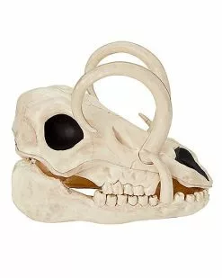 Boar Skull 11 Boar Skull -Spirit Halloween Shop 01528785 b