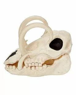 Boar Skull 13 Boar Skull -Spirit Halloween Shop 01528785 d