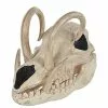 Boar Skull 2 Boar Skull -Spirit Halloween Shop 01528785 a