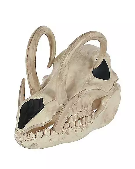 Boar Skull 3 Boar Skull