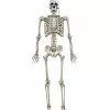 5 Ft. Digieye Hanging Skeleton Decoration 1 5 Ft. Digieye Hanging Skeleton Decoration -Spirit Halloween Shop 01547751 a