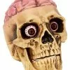 Skull With Brain Decoration 2 Skull With Brain Decoration -Spirit Halloween Shop 01573070 a