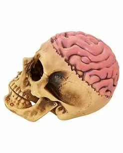 Skull With Brain Decoration 9 Skull With Brain Decoration -Spirit Halloween Shop 01573070 d