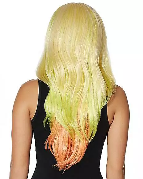 Adult Rainbow Ombre Wig 4 Adult Rainbow Ombre Wig - Image 2