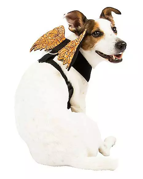 Orange Web Wings Pet Harness 3 Orange Web Wings Pet Harness