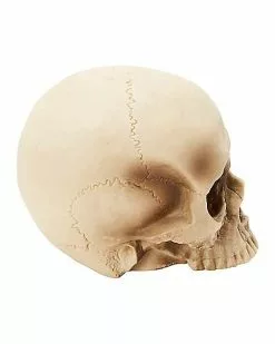 Jawless Skull Set - 3 Pack -Spirit Halloween Shop 07641780 c