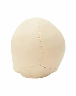 Jawless Skull Set - 3 Pack -Spirit Halloween Shop 07641780 d